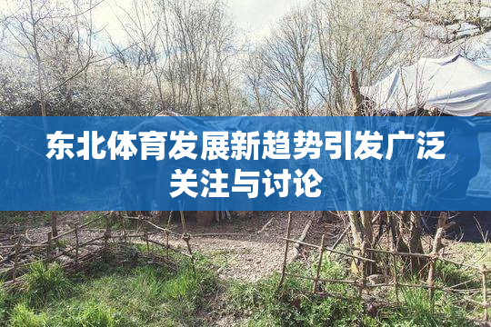 东北体育发展新趋势引发广泛关注与讨论