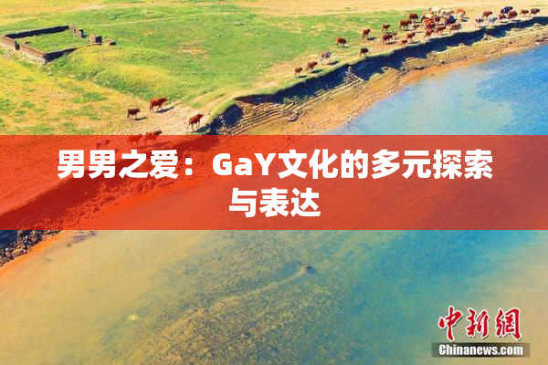 男男之爱：GaY文化的多元探索与表达