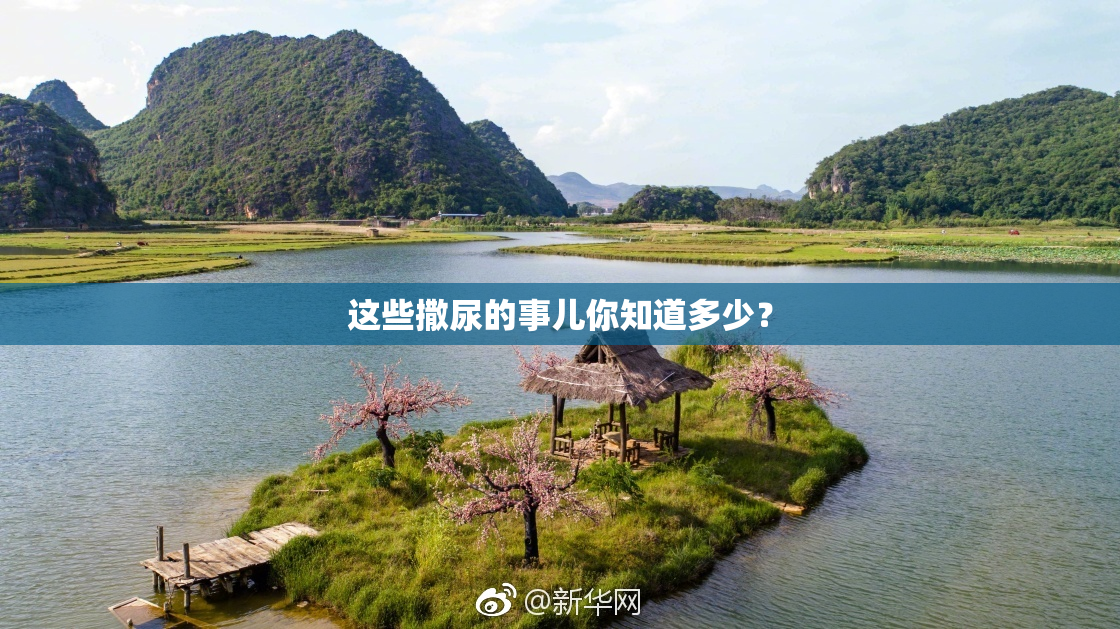 这些撒尿的事儿你知道多少？