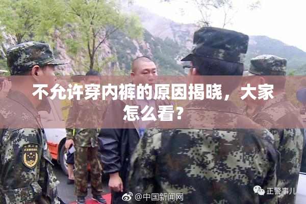不允许穿内裤的原因揭晓，大家怎么看？