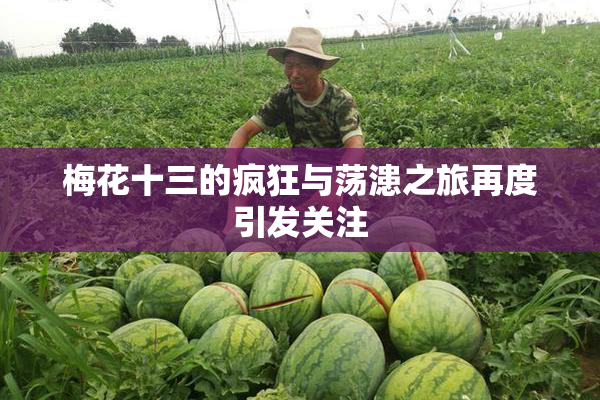 梅花十三的疯狂与荡漶之旅再度引发关注