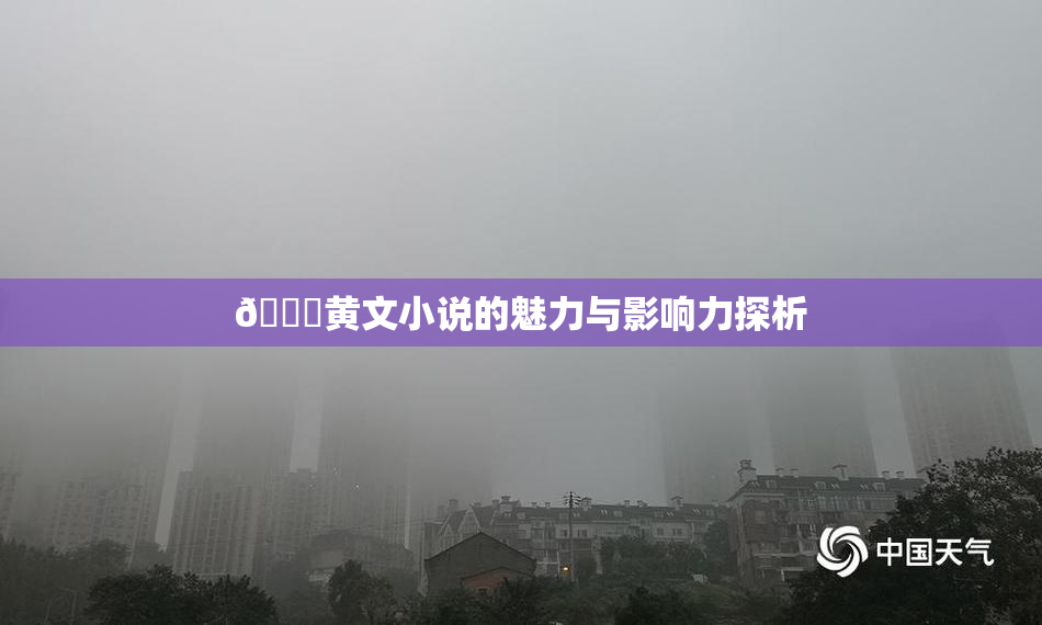 🔞黄文小说的魅力与影响力探析
