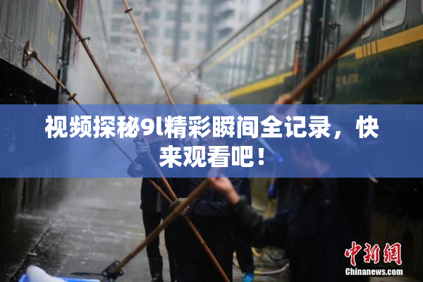 视频探秘9l精彩瞬间全记录，快来观看吧！