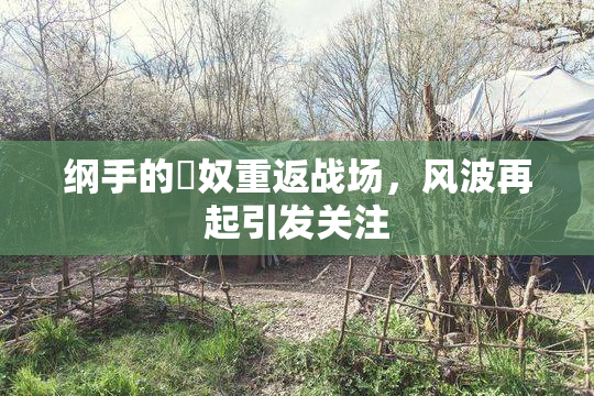 纲手的婬奴重返战场，风波再起引发关注