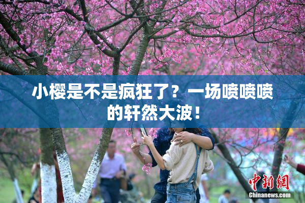 小樱是不是疯狂了？一场喷喷喷的轩然大波！