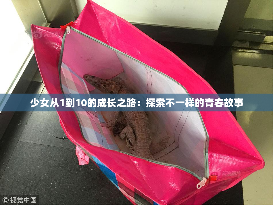 少女从1到10的成长之路：探索不一样的青春故事