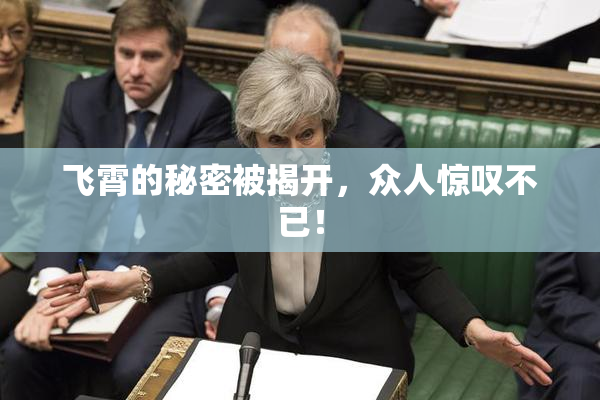 飞霄的秘密被揭开，众人惊叹不已！