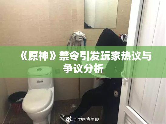 《原神》禁令引发玩家热议与争议分析