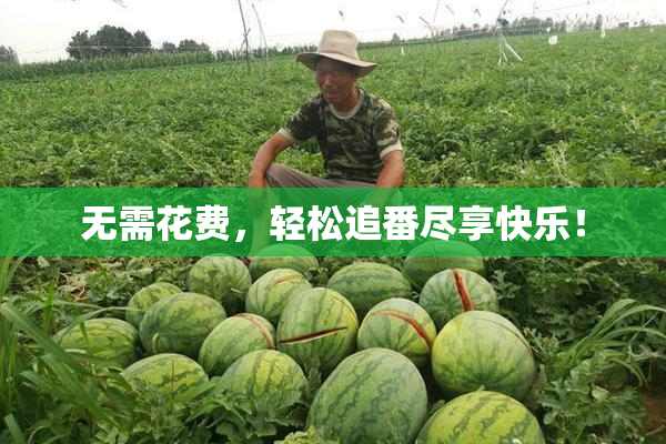 无需花费，轻松追番尽享快乐！