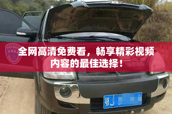 全网高清免费看，畅享精彩视频内容的最佳选择！