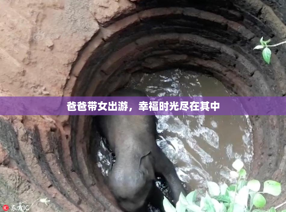 爸爸带女出游，幸福时光尽在其中