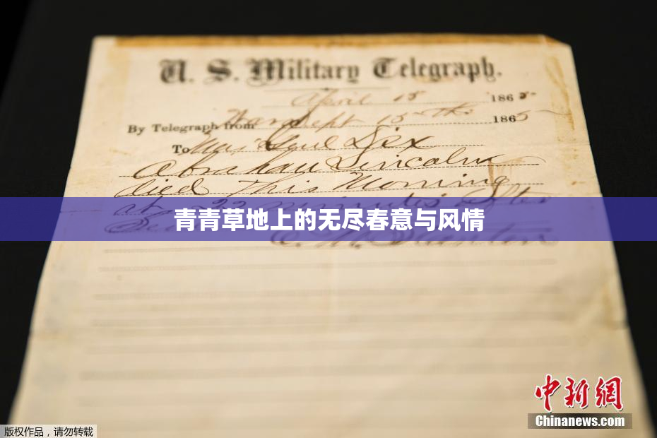 青青草地上的无尽春意与风情