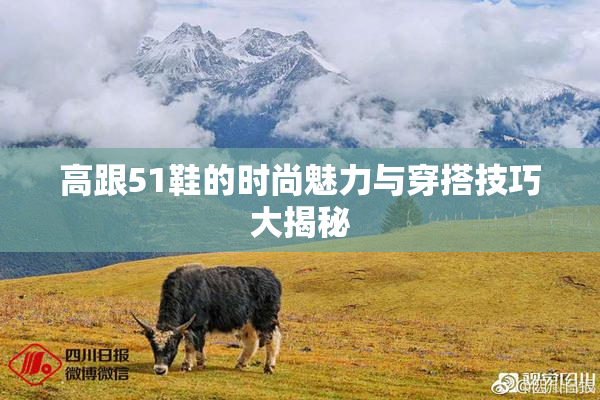 高跟51鞋的时尚魅力与穿搭技巧大揭秘