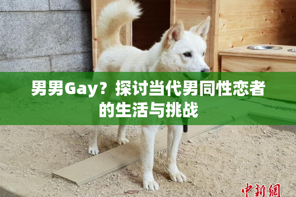 男男Gay？探讨当代男同性恋者的生活与挑战