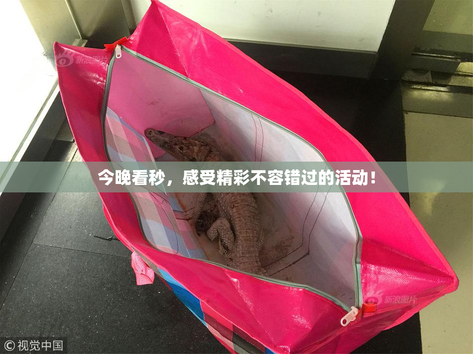 今晚看秒，感受精彩不容错过的活动！