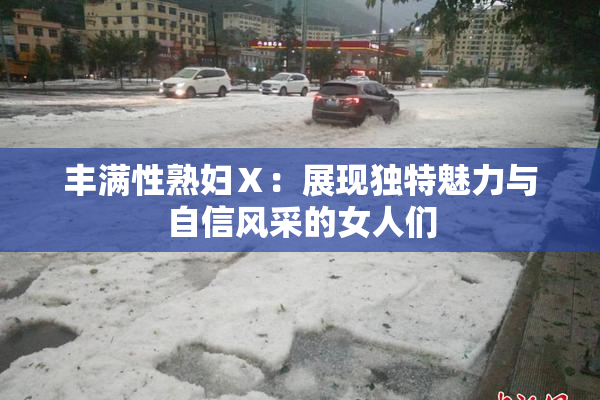 丰满性熟妇Ⅹ：展现独特魅力与自信风采的女人们