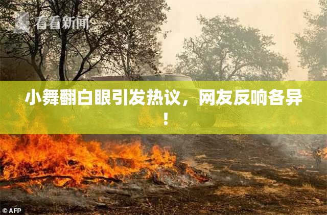 小舞翻白眼引发热议，网友反响各异！