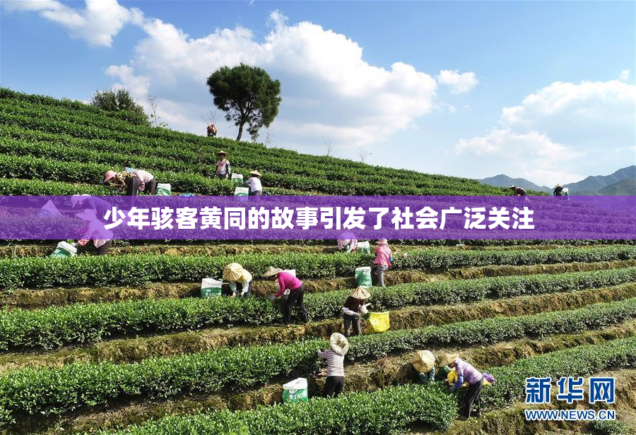 少年骇客黄同的故事引发了社会广泛关注