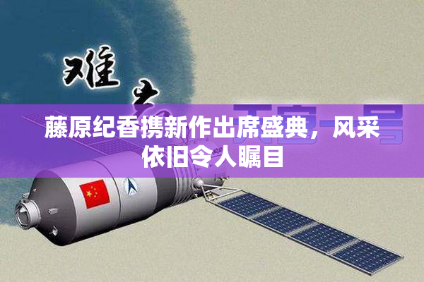 藤原纪香携新作出席盛典，风采依旧令人瞩目