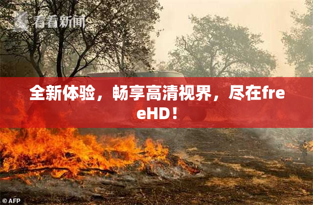 全新体验，畅享高清视界，尽在freeHD！