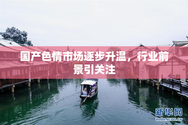 国产色情市场逐步升温，行业前景引关注