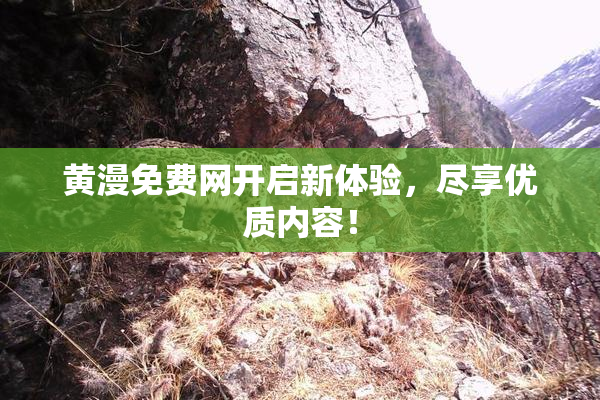 黄漫免费网开启新体验，尽享优质内容！