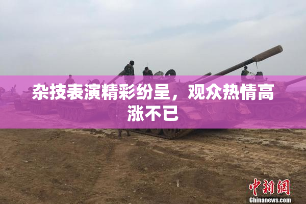 杂技表演精彩纷呈，观众热情高涨不已