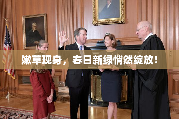 嫩草现身，春日新绿悄然绽放！