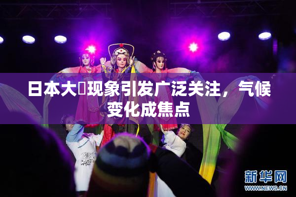 日本大隂现象引发广泛关注，气候变化成焦点