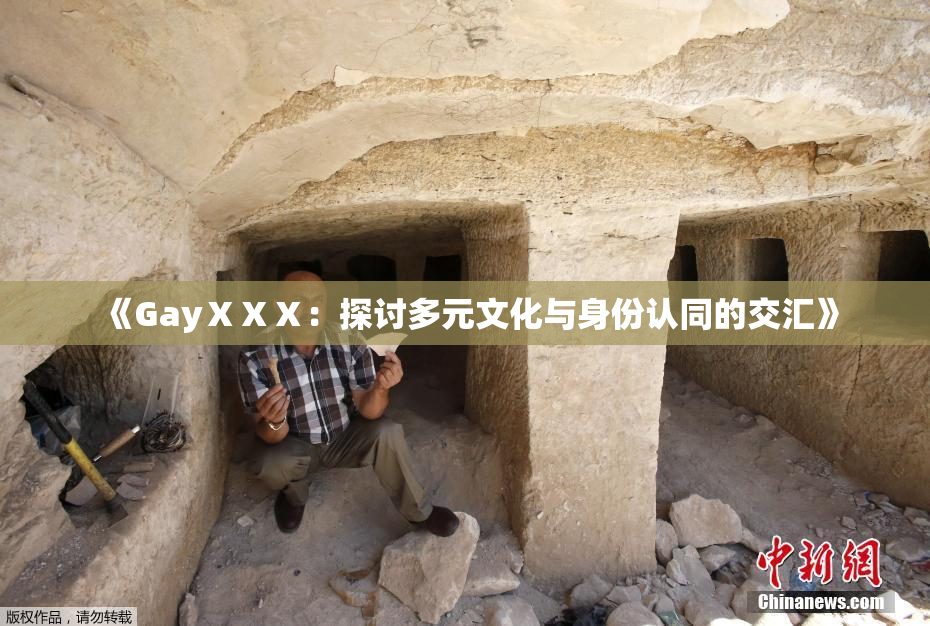 《GayⅩⅩⅩ：探讨多元文化与身份认同的交汇》
