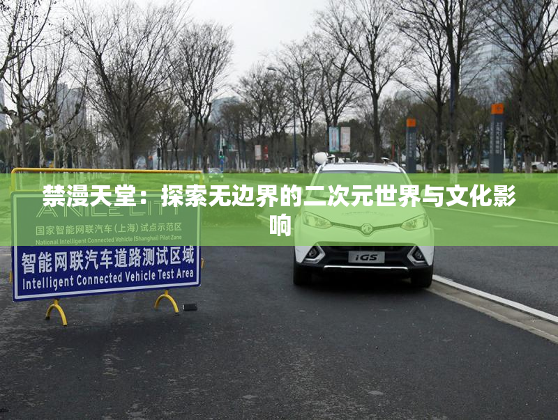 禁漫天堂：探索无边界的二次元世界与文化影响