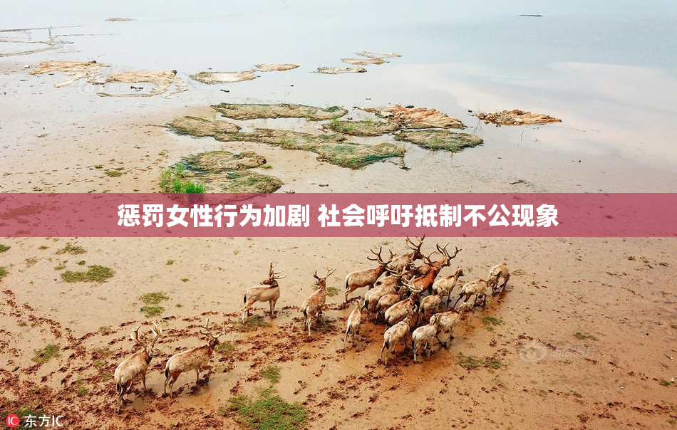惩罚女性行为加剧 社会呼吁抵制不公现象