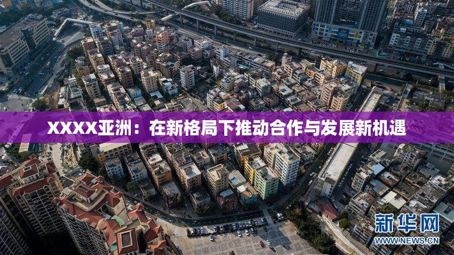 XXXX亚洲：在新格局下推动合作与发展新机遇