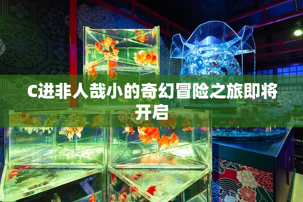 C进非人哉小的奇幻冒险之旅即将开启