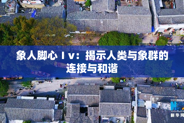 象人脚心Ⅰv：揭示人类与象群的连接与和谐