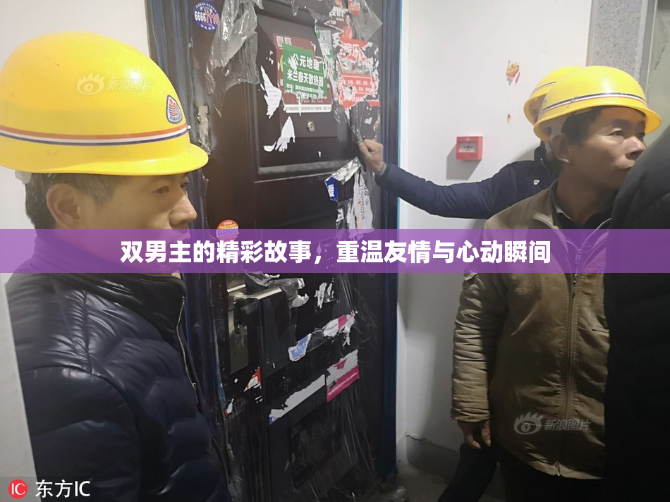 双男主的精彩故事，重温友情与心动瞬间