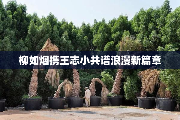 柳如烟携王志小共谱浪漫新篇章