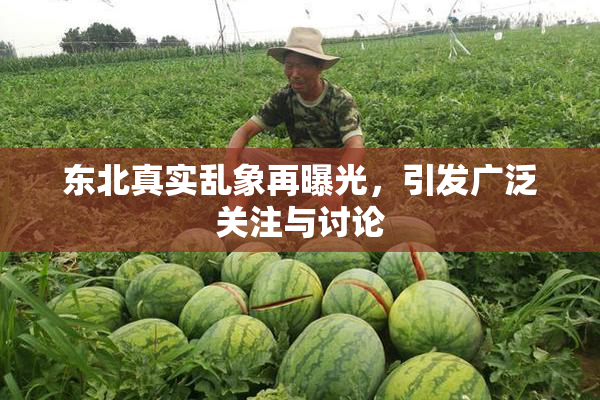 东北真实乱象再曝光，引发广泛关注与讨论