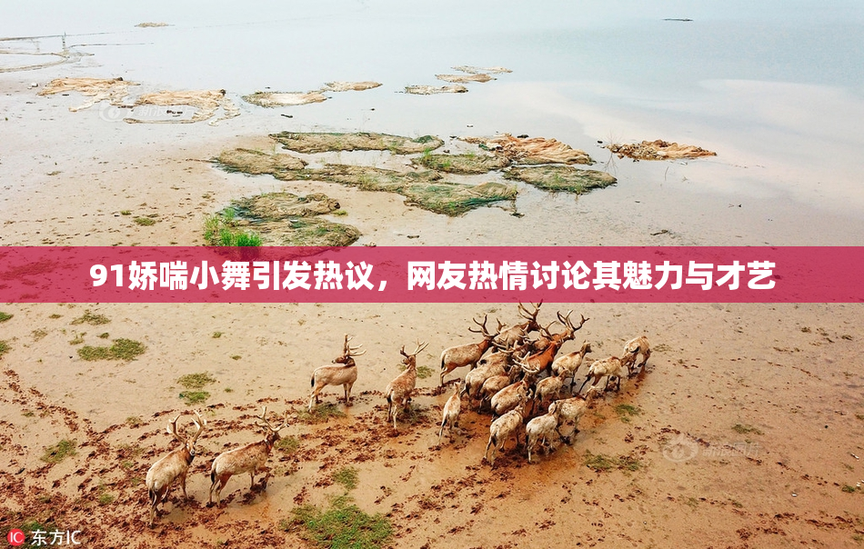 91娇喘小舞引发热议，网友热情讨论其魅力与才艺