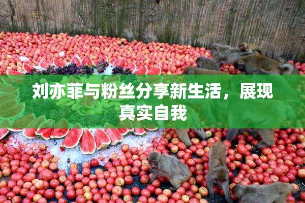 刘亦菲与粉丝分享新生活，展现真实自我