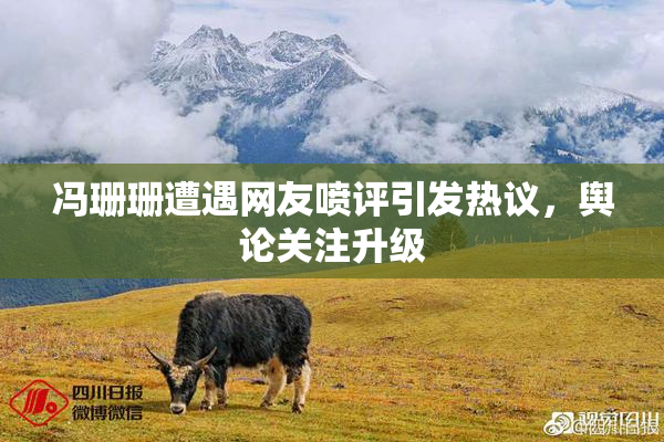 冯珊珊遭遇网友喷评引发热议，舆论关注升级