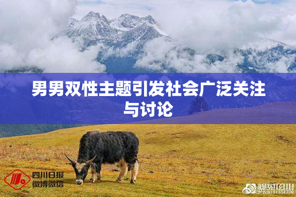 男男双性主题引发社会广泛关注与讨论
