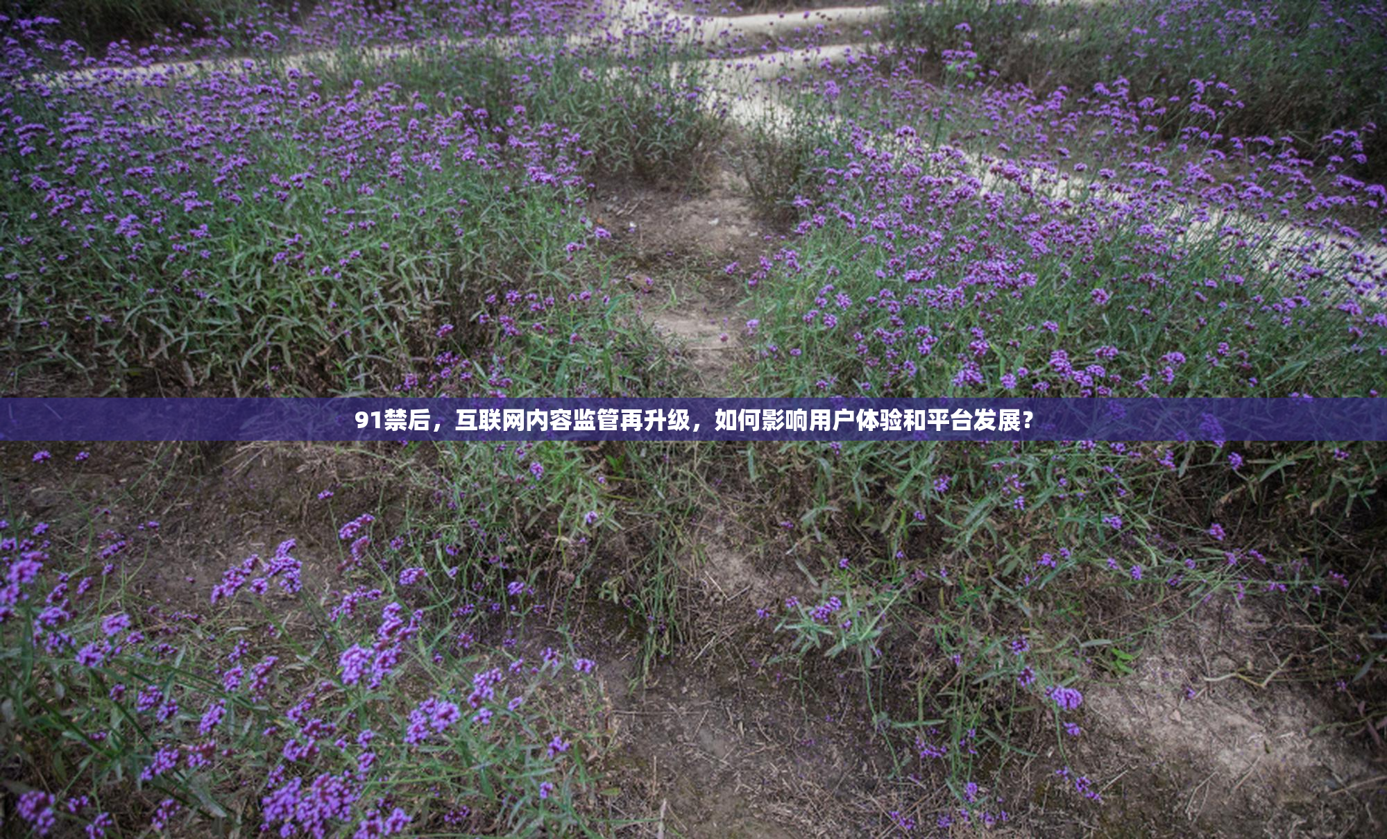 91禁后，互联网内容监管再升级，如何影响用户体验和平台发展？