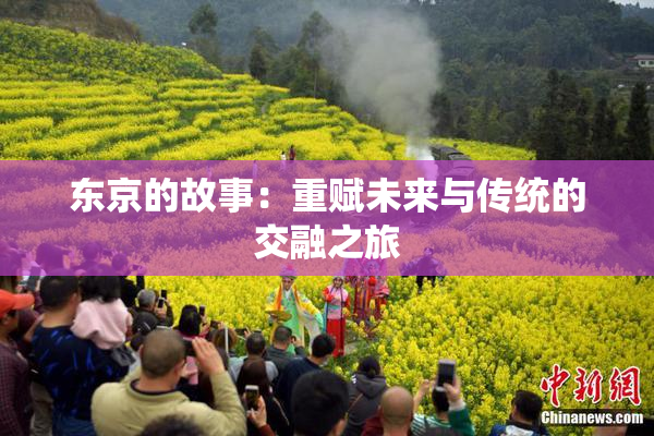 东京的故事：重赋未来与传统的交融之旅