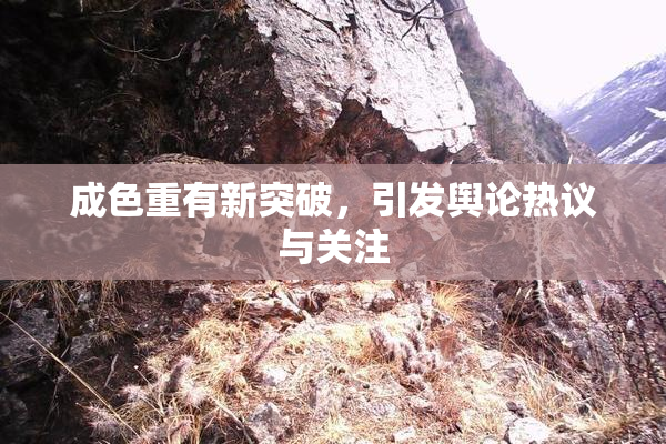 成色重有新突破，引发舆论热议与关注