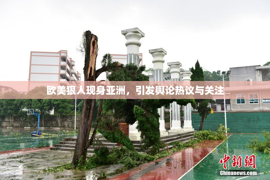 欧美狠人现身亚洲，引发舆论热议与关注