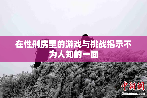 在性刑房里的游戏与挑战揭示不为人知的一面