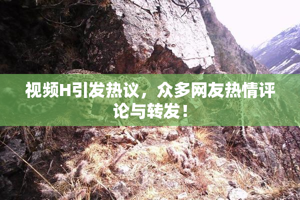 视频H引发热议，众多网友热情评论与转发！