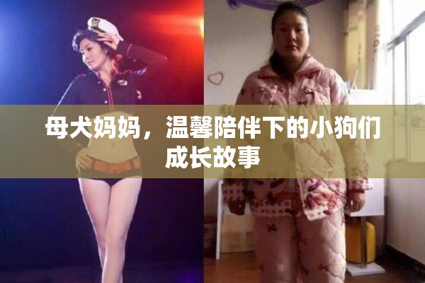 母犬妈妈，温馨陪伴下的小狗们成长故事