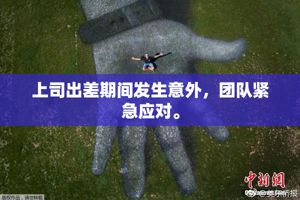 上司出差期间发生意外，团队紧急应对。